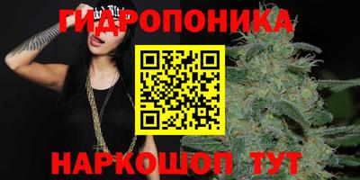 СК Моздок