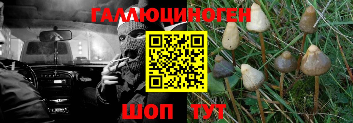 Псилоцибиновые грибы мицелий  Вход с VPN  Балашов 